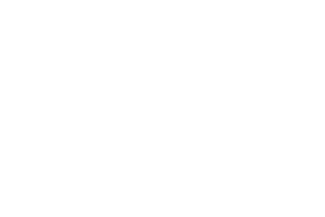 dion-white