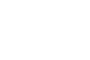 direct-sales-mobile-white