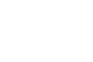 momentum-factor-white