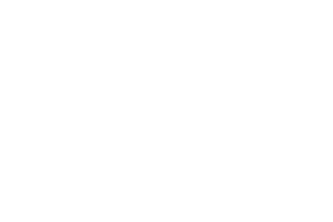 multibrain-white