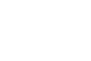 PRO-Insurance-Managers-White